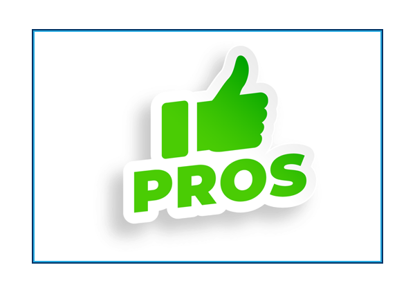 Points-Based Reward System Pros